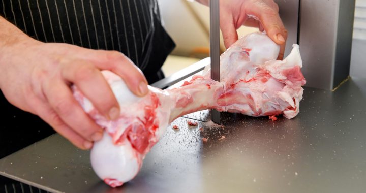 Butcher slicing a fresh trimmed raw calf femur on a band saw to make marrow bones in a close up on his hands